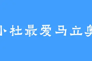 小杜最爱马立奥