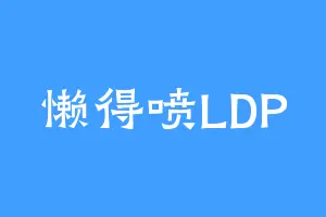 懒得喷LDP