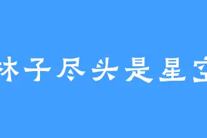林子尽头是星空