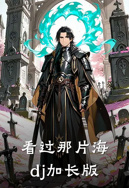 看过那片海dj加长版