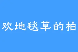 喜欢地毯草的柏森