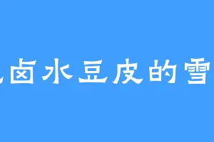 爱吃卤水豆皮的雪剑宗