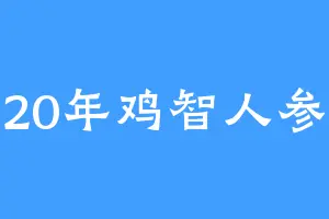 20年鸡智人参