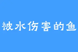 被水伤害的鱼